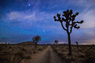 Dirt road tree stars sky - a dirt road free wallpaper