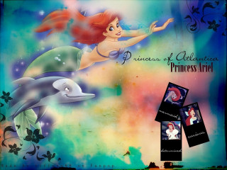 Mermaid dolphin princess sea back - don bluth free wallpaper