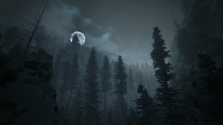 Full moon forest night fog - cryengine free wallpaper for desktop