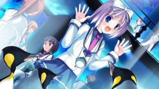 Anime girls mirror penguins group - a penguin free wallpaper