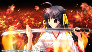 Woman sword fire leaves sky - a fire free wallpaper