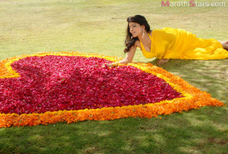 Woman laying grass flower arrangement - a flower arrangement free wallpaper