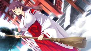 Woman red white dress broom - a broom free wallpaper