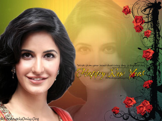 Woman red rose happy new - a happy new year free wallpaper