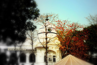 White building tree umbrella blue - free retro wallpaper
