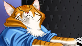 Cat sleeping piano zebra love - furry art free wallpaper