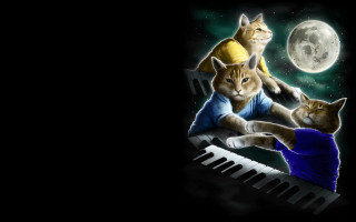 Cat piano two cats full - two cat free wallpaper for desktop
