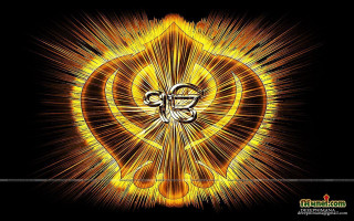 Yellow black flower cross stylized - divinity free wallpaper