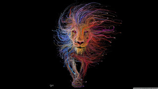 Lion colorful pattern black background - ahead free wallpaper