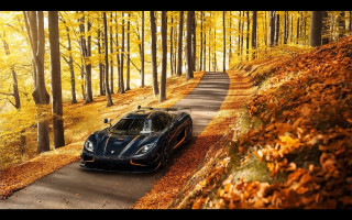 Black sports car autumn road - the ground and trees free wallpaper