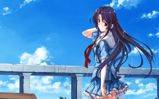 Girl bridge schooluniform longhair blue - her arm behind her back free wallpaper for desktop