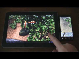 Person pointing tablet fish pond - brian fies free wallpaper
