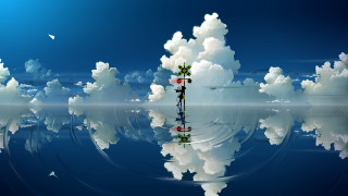Person cloud sky reflection tree - a cloud free wallpaper for desktop