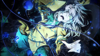 Woman long hair hat sword - long hair and a hat free wallpaper