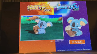 Cartoon character koala background screen - a screen free wallpaper