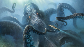 Deep sea octopus attacking squid - octopus free wallpaper