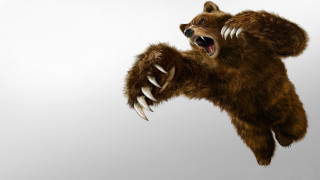 Bear claws air mouth wide - mouth wide open free wallpaper