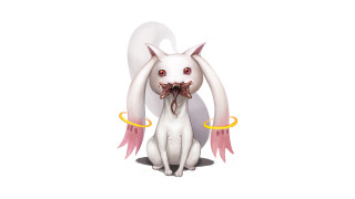 White cat red eyes wings - lovecraftian free wallpaper