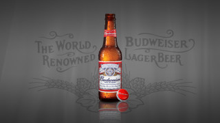 Beer red cap grey background - a grey background free wallpaper