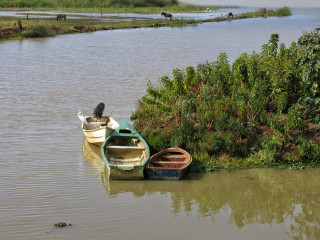 Boat river small boat horse - a small boat free wallpaper