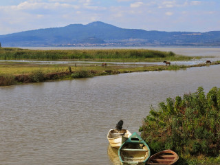 Boats water grassy shoreline mountains - lake free wallpaper for desktop
