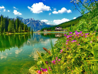 Lake mountains flowers sky clouds - dosso dossi free wallpaper