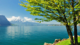 Tree water mountains blue sky - anthony s waters free wallpaper for desktop