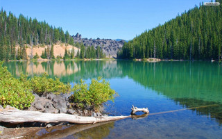 Lake trees mountains log nature - lake free wallpaper