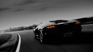 Black white sportscar driving road 2 - the rear free wallpaper
