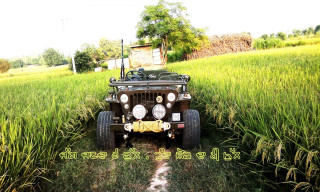 Jeep parked field tall grass - processed free wallpaper