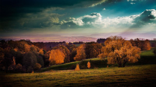 Field trees sky clouds mountain - a mountain in the distance free wallpaper