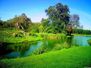 River lush green park field - de hirsh margule free wallpaper