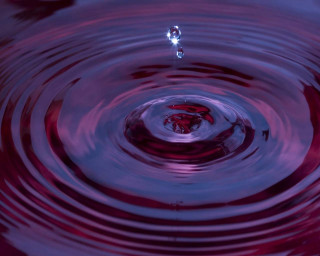 Water drop red purple blue - a macro photograph free wallpaper