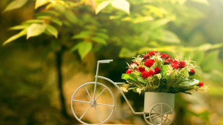 Small bicycle flowers pot table - a pot free wallpaper