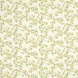 Birds leaves wallpaper white room - a white floor free wallpaper