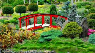 Red bridge pond trees bushes - eishōsai chōki free wallpaper