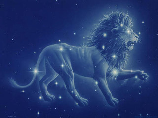 Lion stars blue sky foreground - a lion free wallpaper
