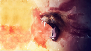Lion roaring space stars bright - its tooth free wallpaper