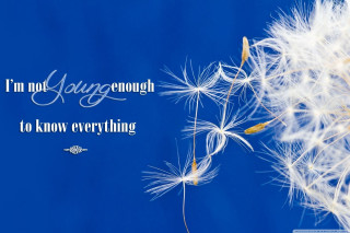 Dandelion quote im not going - a dandelion free wallpaper