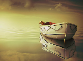 Cat boat floating water sky - surreal photography free wallpaper for desktop