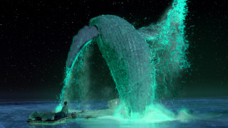 Whale jumping water mouth open 2 - bioluminescence free wallpaper