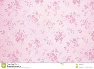 Pink floral background white border - a green border free wallpaper for desktop