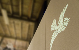 Bird wall building dove symbolism - a close up of a bird free wallpaper