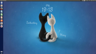 Computer screen cat date - a computer screen free wallpaper