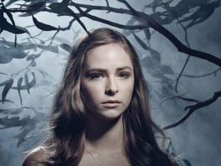 Woman long hair tree branch - branch free wallpaper for desktop