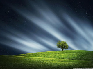 Lone tree green hill night - a lone tree free wallpaper