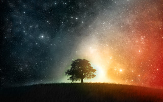 Lone tree hill night sky - the horizon free wallpaper
