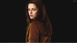 Woman long hair brown sweater - a brown sweater free wallpaper