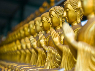 Golden buddha statues row table - a table in a room free wallpaper