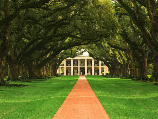 Brick path white house trees - tree and grass free wallpaper